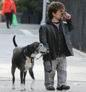 Peter Dinklage Height