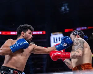 Jake Paul vs Neeraj Goyat